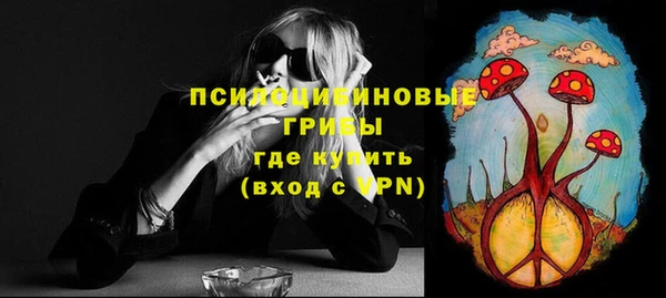 синтетический гашиш Коряжма