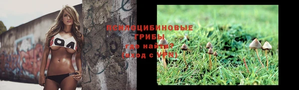 соль ск Костерёво
