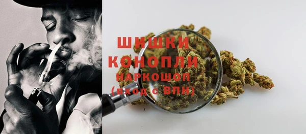 соль ск Костерёво
