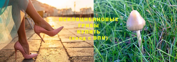 синтетический гашиш Коряжма