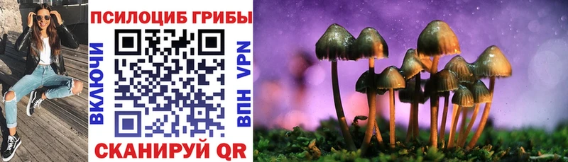 mega вход  Брюховецкая  Псилоцибиновые грибы Psilocybine cubensis  где купить  